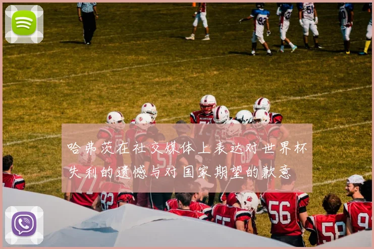 哈弗茨在社交媒体上表达对世界杯失利的遗憾与对国家期望的歉意