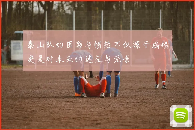 泰山队的困惑与愤怒不仅源于成绩更是对未来的迷茫与无奈