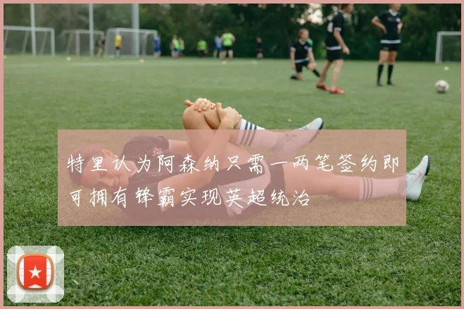 特里认为阿森纳只需一两笔签约即可拥有锋霸实现英超统治