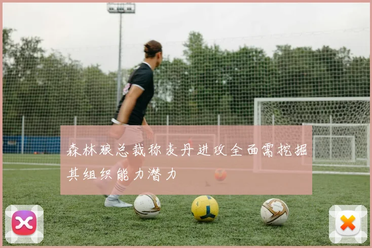 森林狼总裁称麦丹进攻全面需挖掘其组织能力潜力