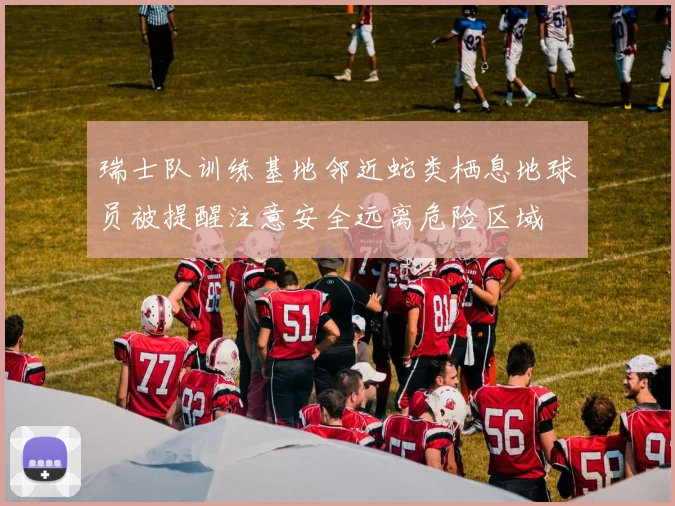 瑞士队训练基地邻近蛇类栖息地球员被提醒注意安全远离危险区域